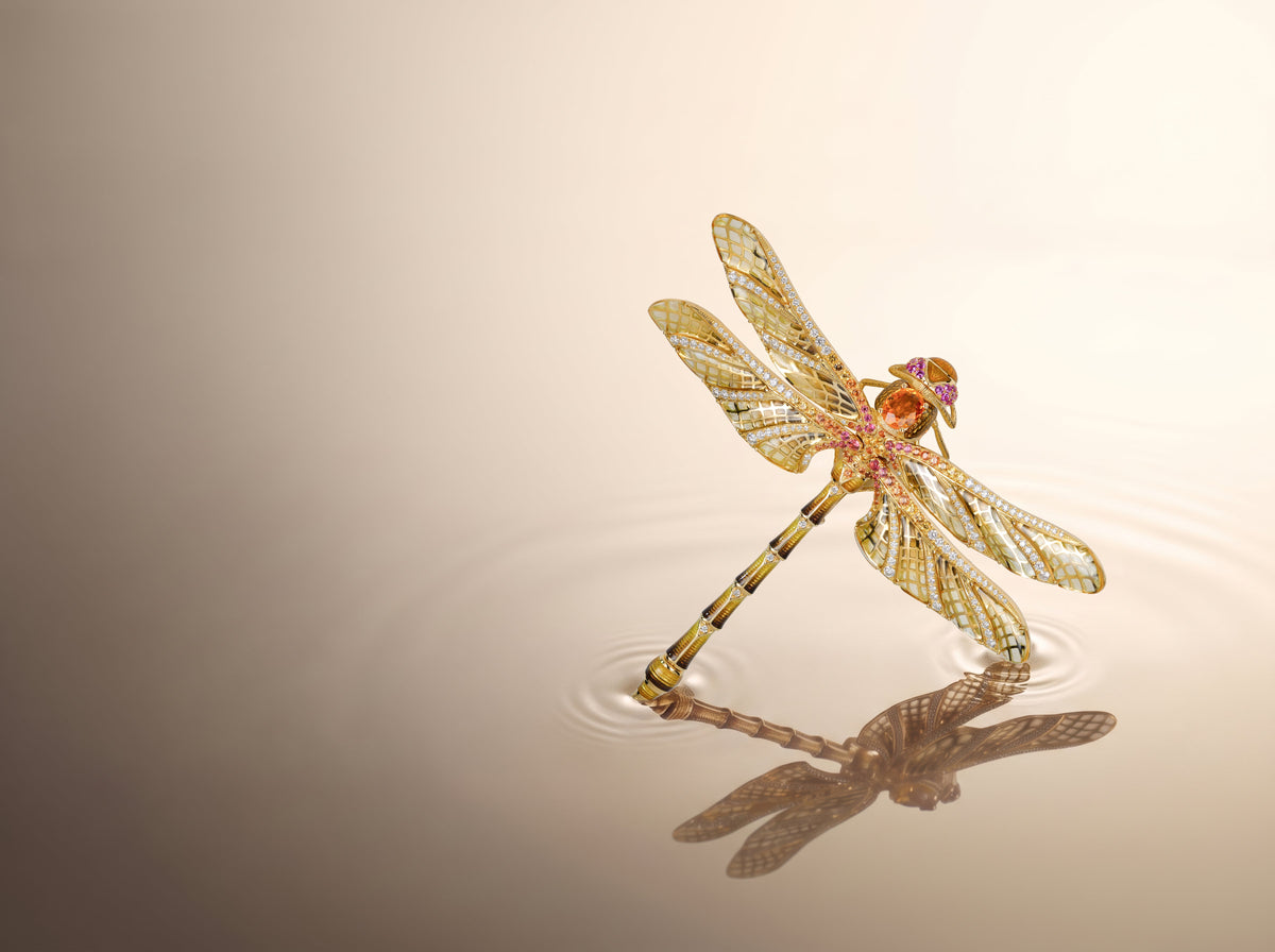 Life • Light • Dragonfly