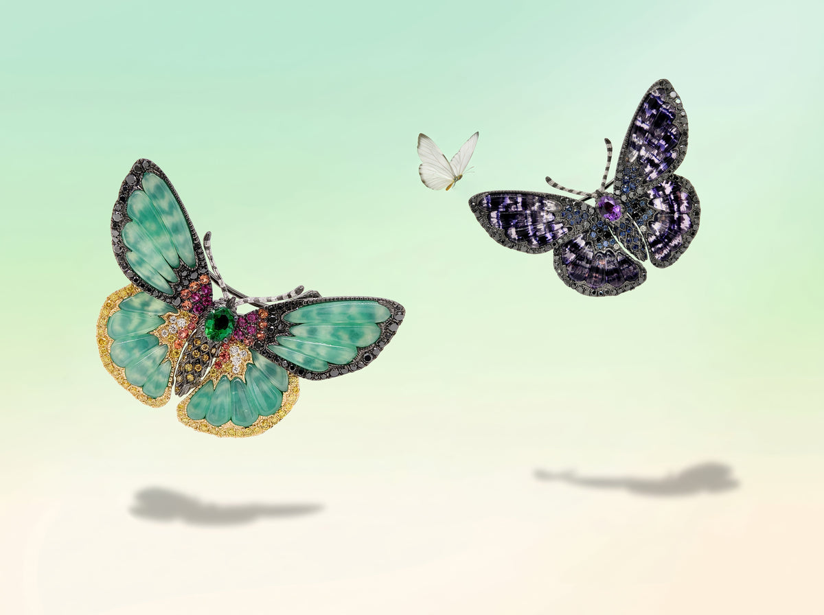 Life • Light • Butterfly