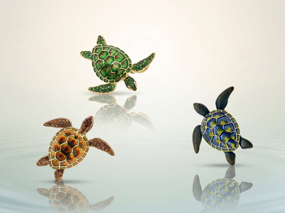 Turtle Tale