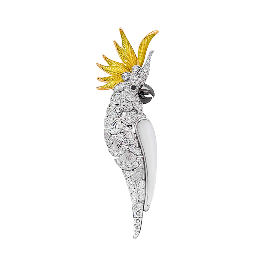 18KT White Gold Enamel Parrot with Pinctada & Diamond Brooch