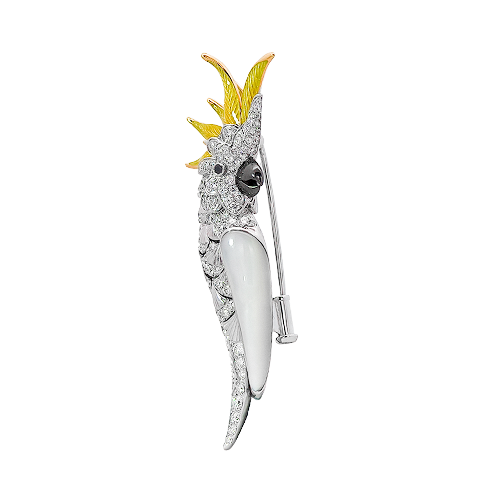 18KT White Gold Enamel Parrot with Pinctada & Diamond Brooch