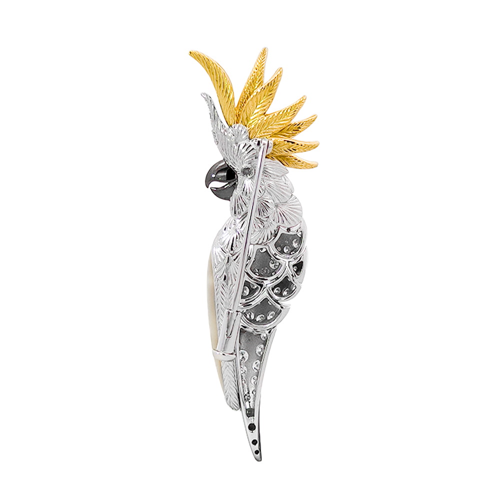 18KT White Gold Enamel Parrot with Pinctada & Diamond Brooch
